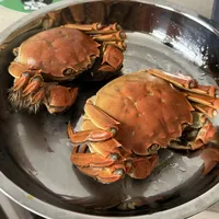 「5元母蟹」撞上「精品蟹25元一只坚挺」：大闸蟹抄底对账党，下手前先把时点、渠道、验货这三本账对完