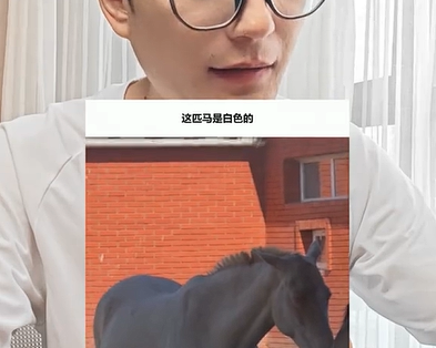 网友又吵翻了：到底是黑马还是白马？