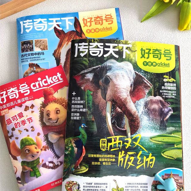 那条216条评论“杂志铺是要倒闭了吗”：双11订好奇号，付款前先看这4条发货核查