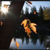 亲子赏秋徒步线集中上新、「上门遛娃」走红 | 亲子户外10.21日报