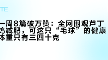 一周8篇破万赞：全网围观芦丁鸡减肥，可这只“毛球”的健康体重只有三四十克