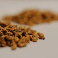 金螺890一斤,值不值?5泡实录:第3泡就开始变薄
