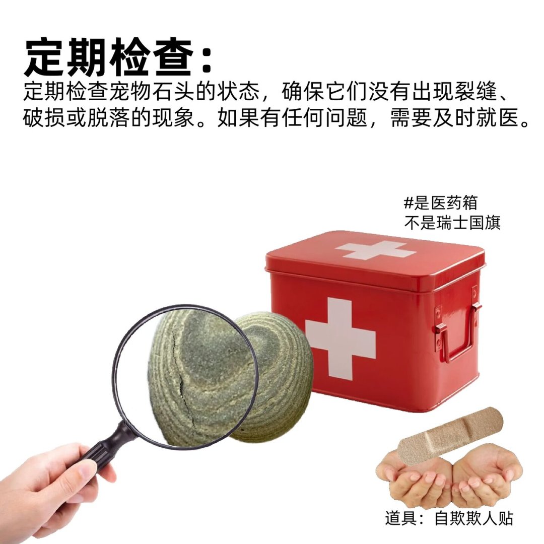 年轻人养“宠物石头”火了:4块到几十块,什么值得买、什么是智商税