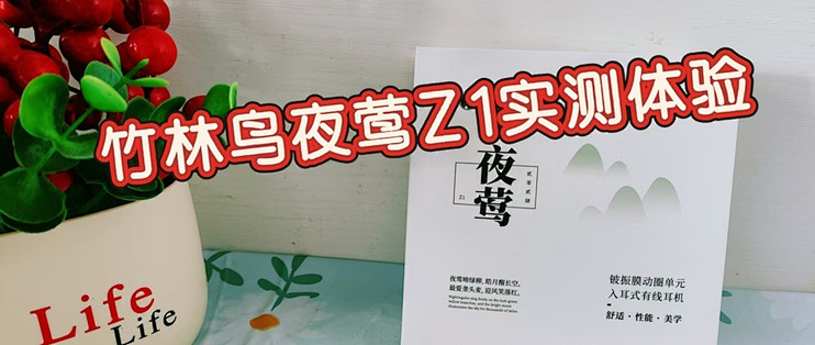 我终于找到了一副能戴着睡觉的耳机！竹林鸟夜莺Z1实测体验！