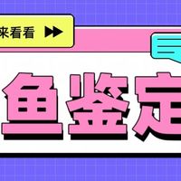 闲鱼拉夫劳伦六款鉴定实录