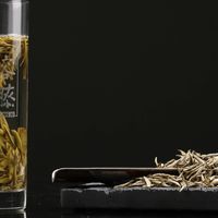 茉莉花茶 18 问实测版，我把自己踩过的坑列了一遍