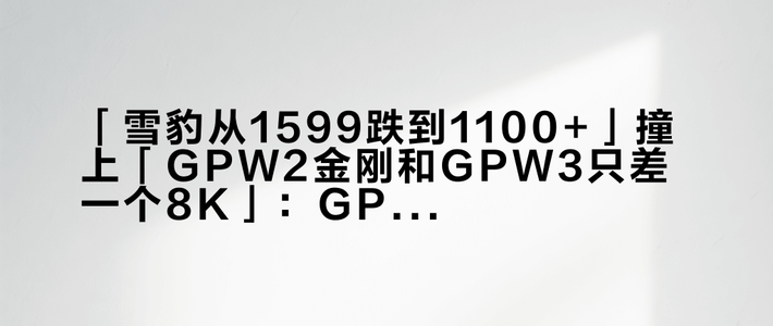 「雪豹从1599跌到1100+」撞上「GPW2金刚和GPW3只差一个8K」：GPW换代犹豫党蹲双11，锁单前先把模具、微动、价梯这三本账对完