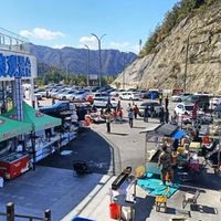 全国赏秋模式已开启：秋色接力正在进行，出发前先查“进度条”