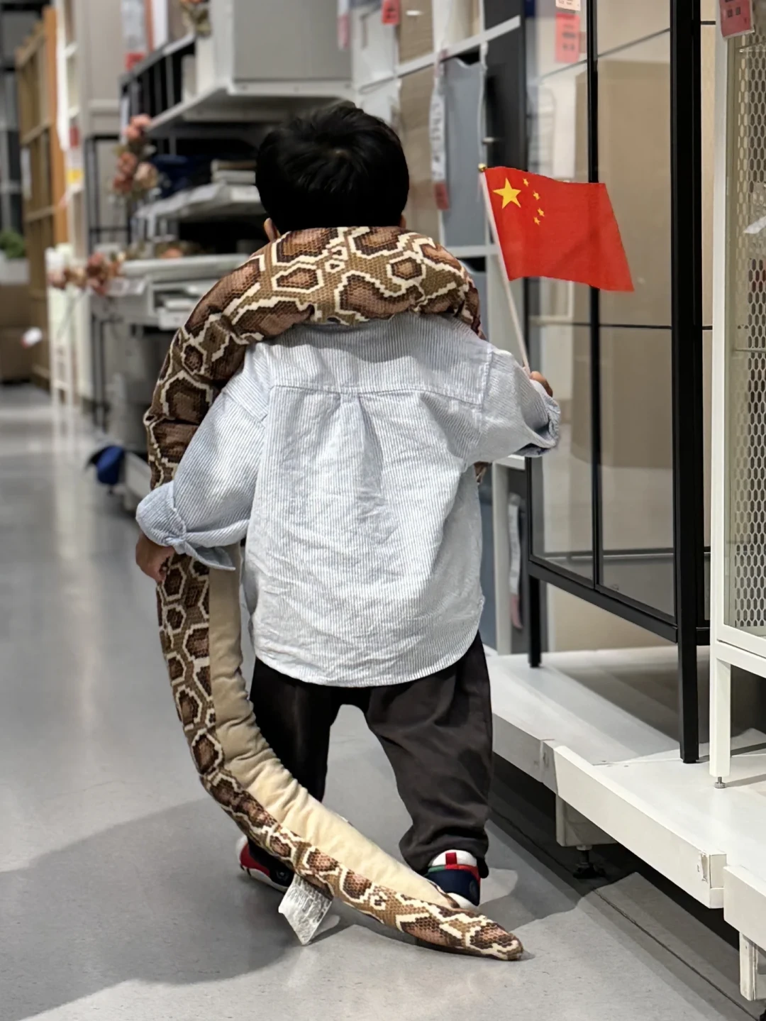 降温这两天,遛娃地刚