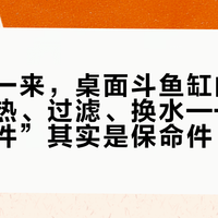 冷空气一来，桌面斗鱼缸的3条线：加热、过滤、换水——那些“造景件”其实是保命件