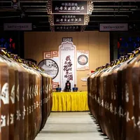 「9.9元酒博会门票卖出3万份」撞上「同款28度小酒：年轻人说诡异、老饕说太淡」：双11白酒新手首购对账党，付定金前先把口感、标准、规格这三本账对完