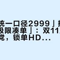 「底价统一口径2999」撞上「2490极限凑单」：双11蹲戴森的对账党，锁单HD16前先把节奏、保价、联保这三本账对完