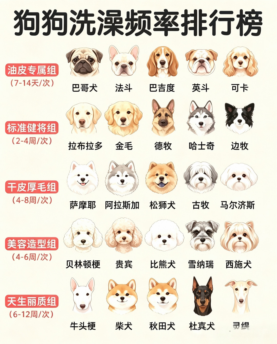 店里洗剪吹80、120还另收拉毛开结费,撞上双11推子几十到几百:首次在家DIY美容党,下单前先把价梯、翻车、退路这三本账对完