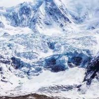 给父母买鱼油怎么选：六款鱼油按标签、检测与包装逐项核对