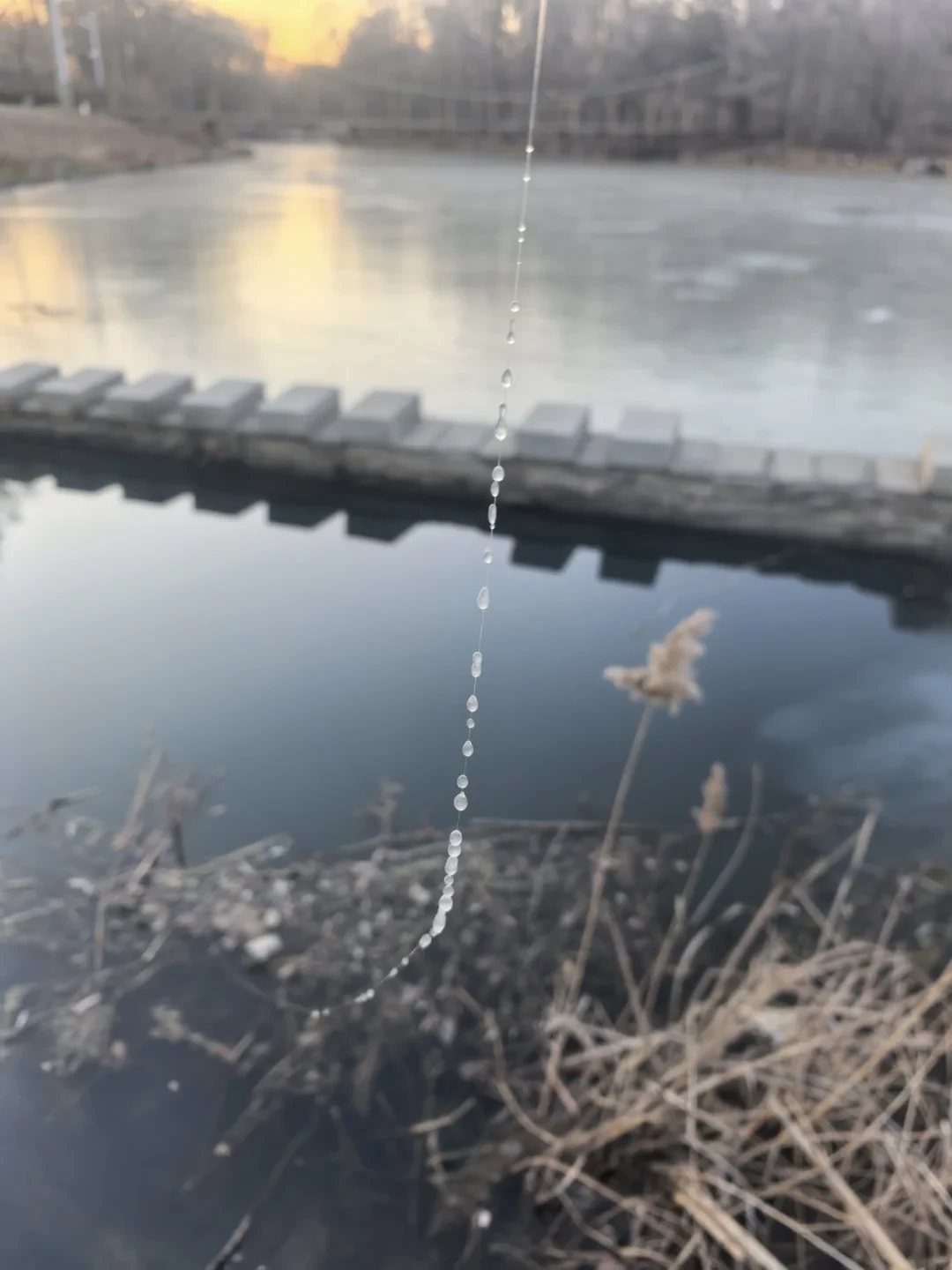 0℃线今天压到华北北部:北方路亚人的第一个结冰早晨,冻的是线还是轮?先分清再出门