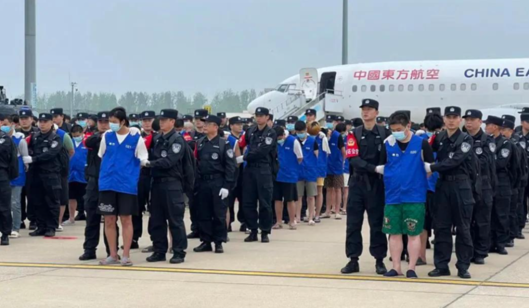 「第一集被7.4万人收藏」撞上「“无删减1-69”全是鱼饵」:出圈反诈纪录片的补课党,花134分钟前先把版本、强度、节奏这三本账对完