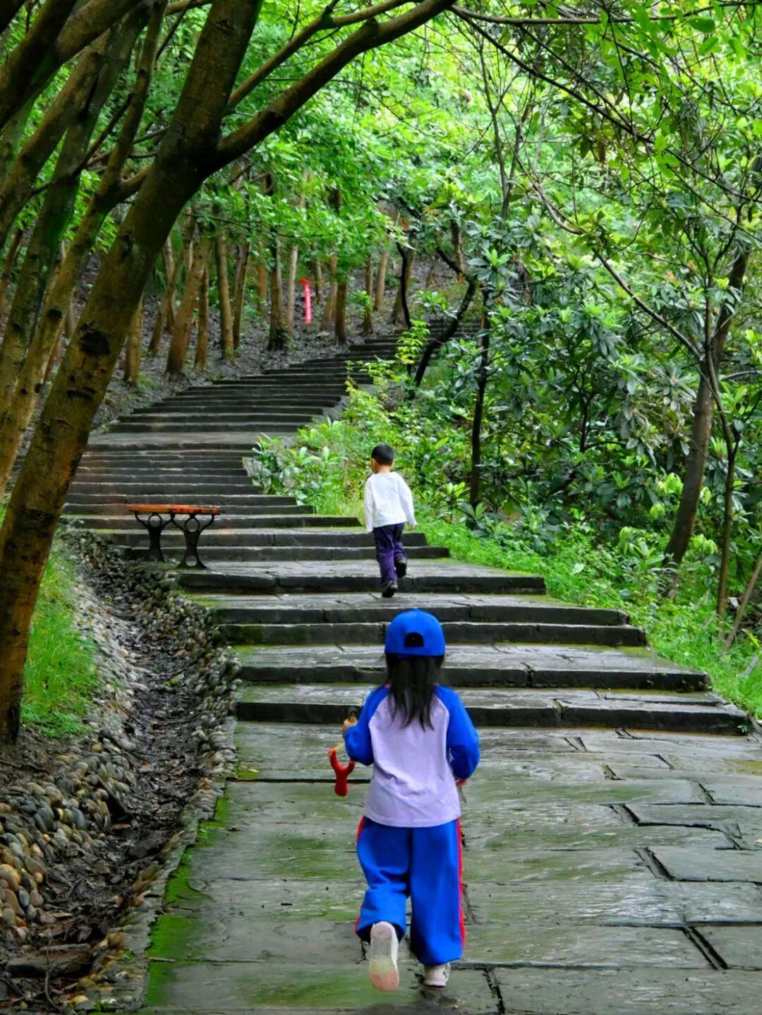 12部门刚定调国家步道:这个秋天,离开水泥台阶,别赌野路
