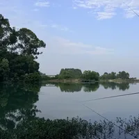 “84分团标”刚立起来，“真足尺”就成了卖点：双11付竿钱前，先看清参数到底谁来验