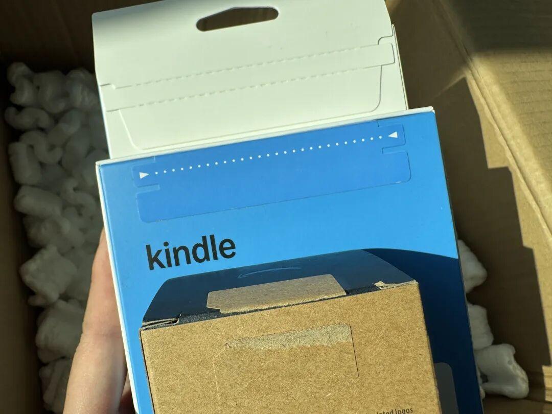 涨价72%还买不到：小紫小蓝Kindle2026，3条海淘路4个坑