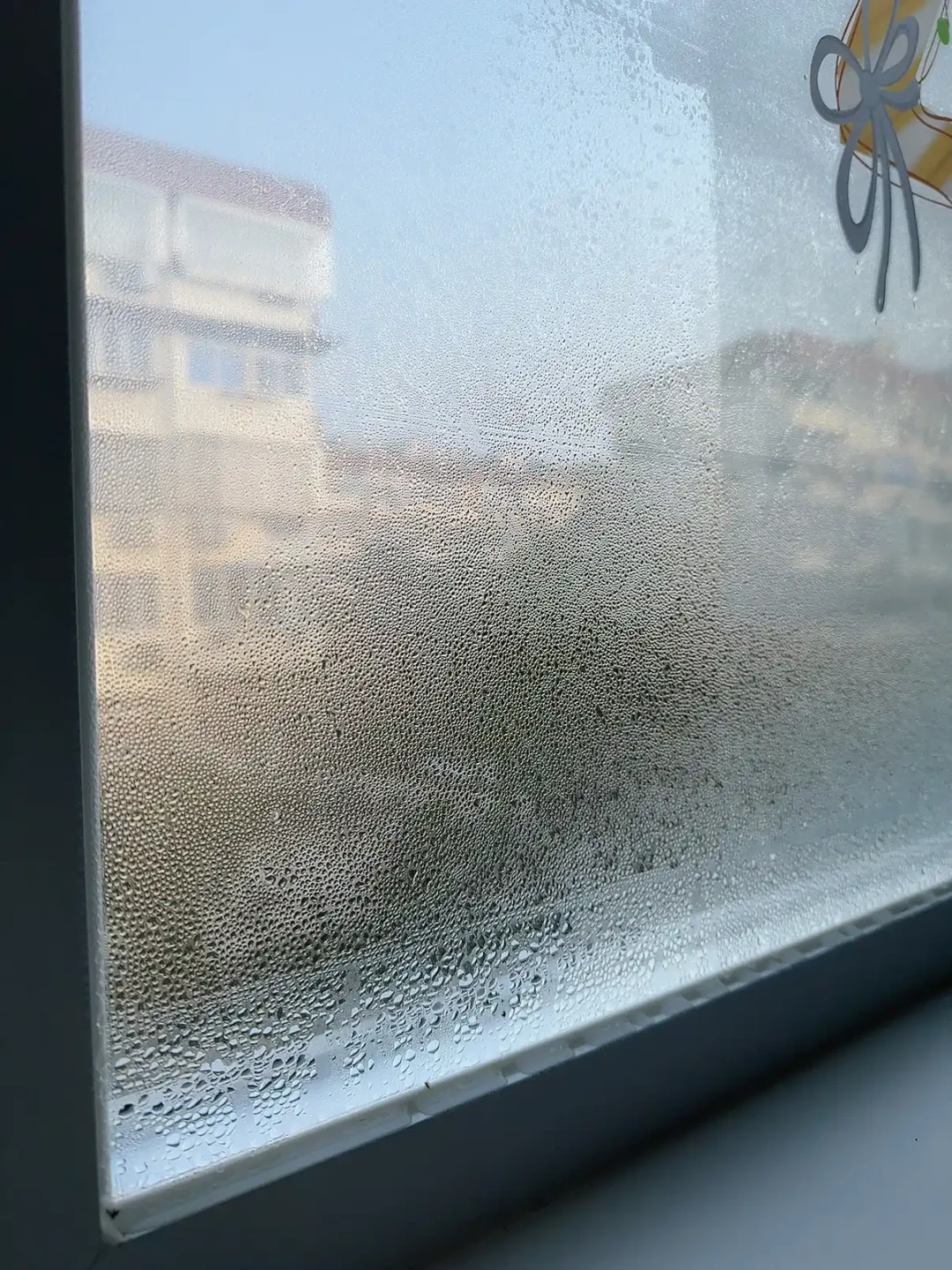 供暖第三天,窗户就“流泪”了?东北网友掏出塑料布和水桶,成本才几块钱