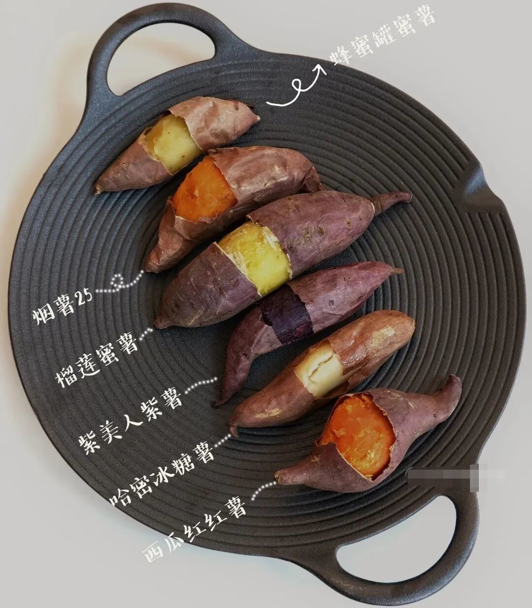 没有榴莲的“榴莲蜜薯”,现挖的反而不甜:你多花的钱大概只是个名字
