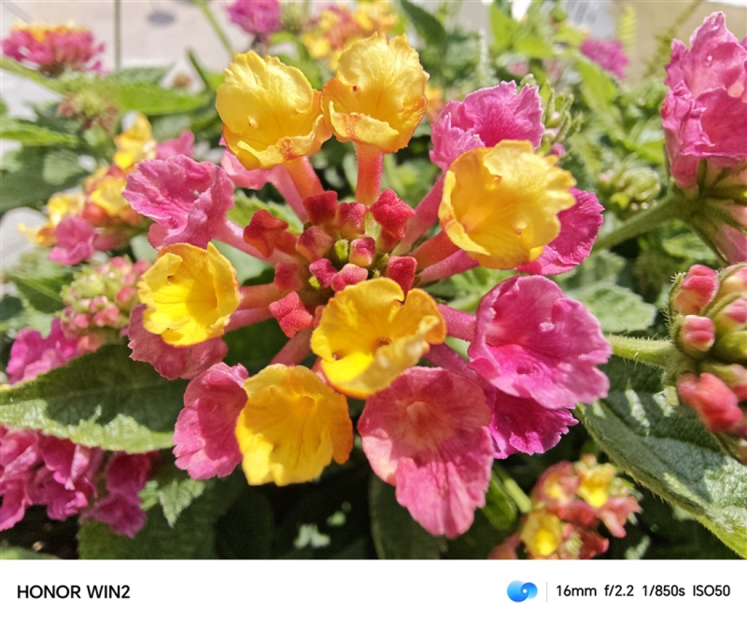 2K 185Hz屏幕+双风扇散热!荣耀WIN2手机评测:手游玩家首选的年度T0电竞夯机