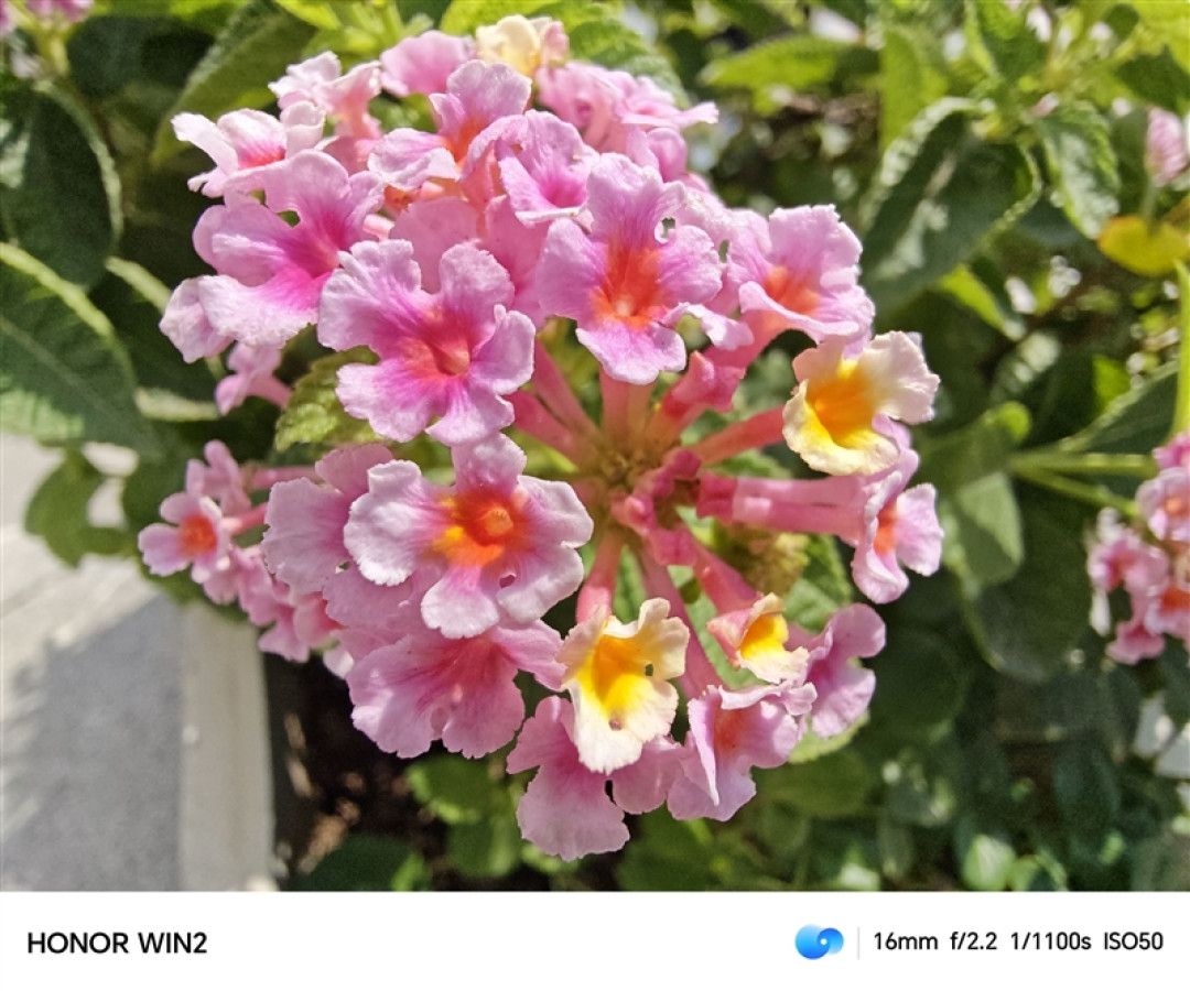 2K 185Hz屏幕+双风扇散热!荣耀WIN2手机评测:手游玩家首选的年度T0电竞夯机