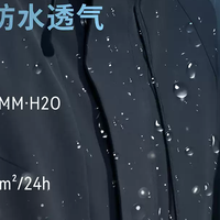 800 蓬 95 鹅绒，抗寒防水男士中款鹅绒服