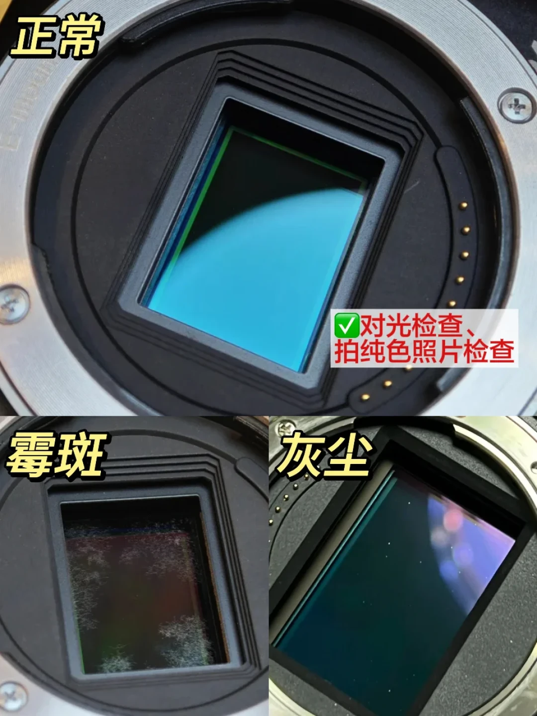 D7000跌到450、5D4才三千多：单反厂退休后，这鱼敢咬吗