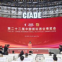 一家被叫"小五粮液",一家给名酒供了几十年基酒:高洲和叙府9款口粮放上同一杆斤价秤,双11只有3种买法