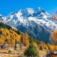 高纯rTG鱼油为什么还要看微生物？六款产品从五份样品结果谈品控