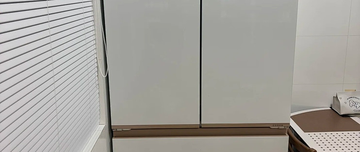 不串味的大容量冰箱｜麦浪 2.0 真实分享✅莎莎同款