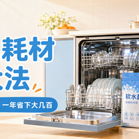 洗碗机耗材平替大法：盐、剂、粉、洗四件套，不吃压力！