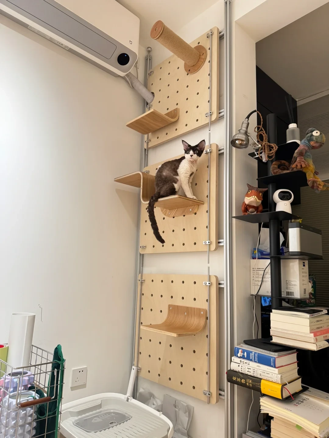 免打孔猫墙的5种装法、3档稳度：租房党先敲完自家墙，再收藏教程