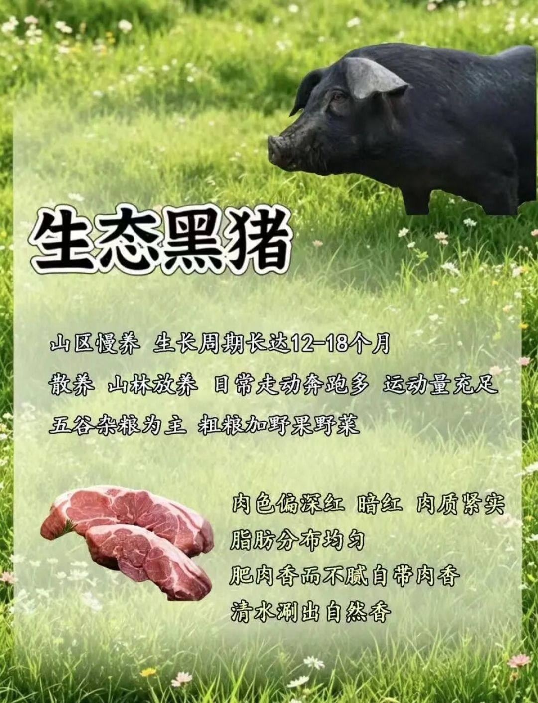 罚8万的“炭粉黑猪”：黑猪溢价是真的，你的眼睛是真分不出来