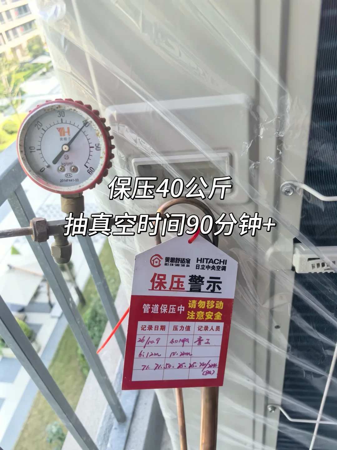 双11