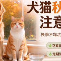 犬猫秋季养护注意事项，新手铲屎官建议收藏