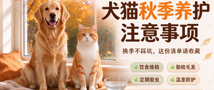 犬猫秋季养护注意事项，新手铲屎官建议收藏