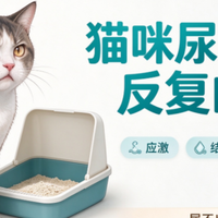 猫咪尿频尿血总反复？别只忙着消炎！