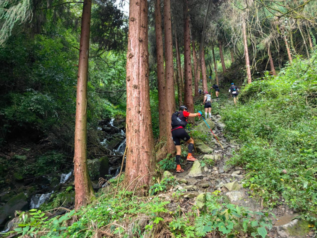 10.23莫干山开跑前,先把LEKI用对:推不是拄,腕带才是真握把