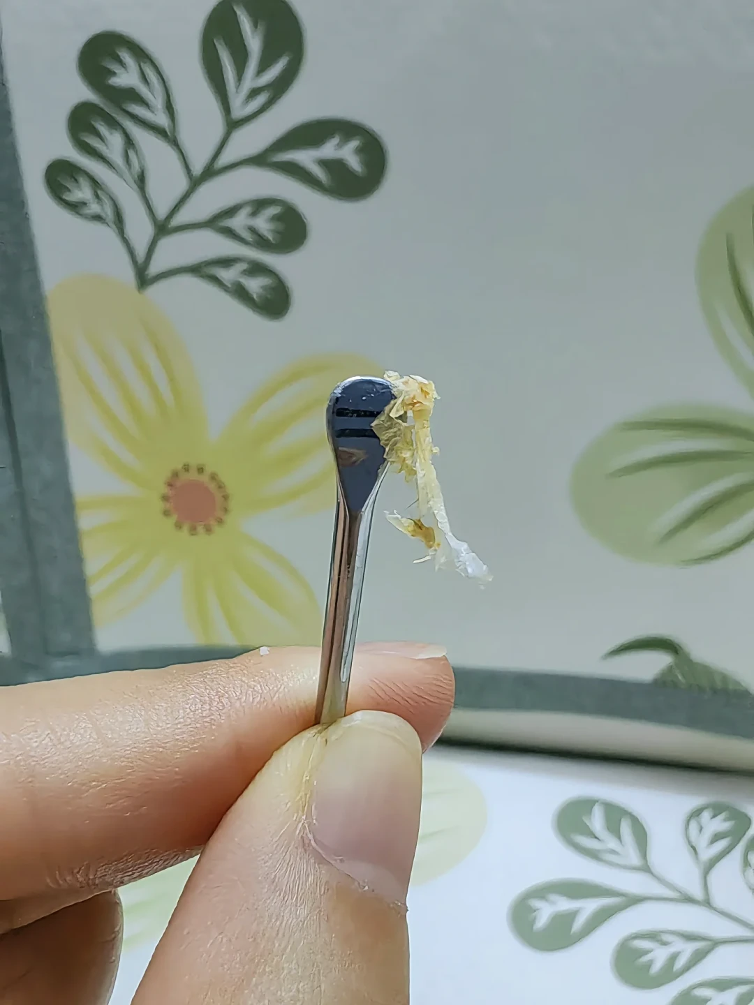 本周小红书挤满