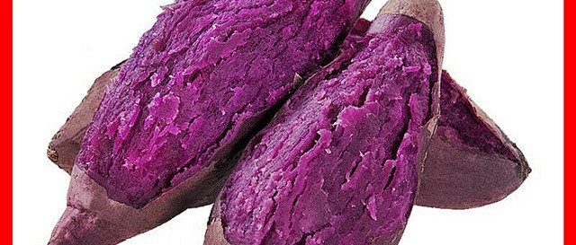 紫薯：土地里的紫色宝石与爱