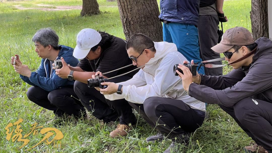 十二年后再出鞘:《绣春刀3》锦衣卫开赴援朝战场,沈炼还有戏吗?