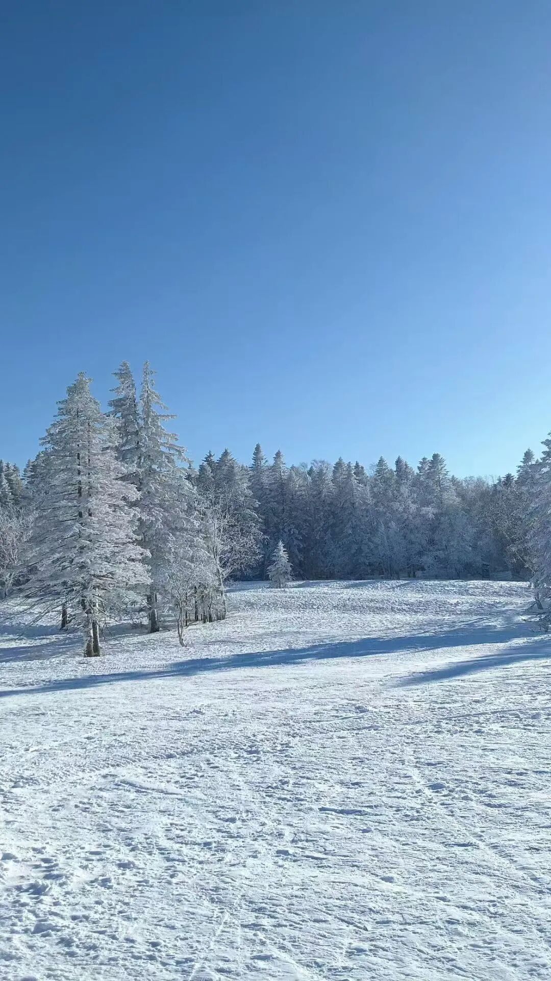 长白山ClubMed开板倒计时，带娃滑雪实话实说