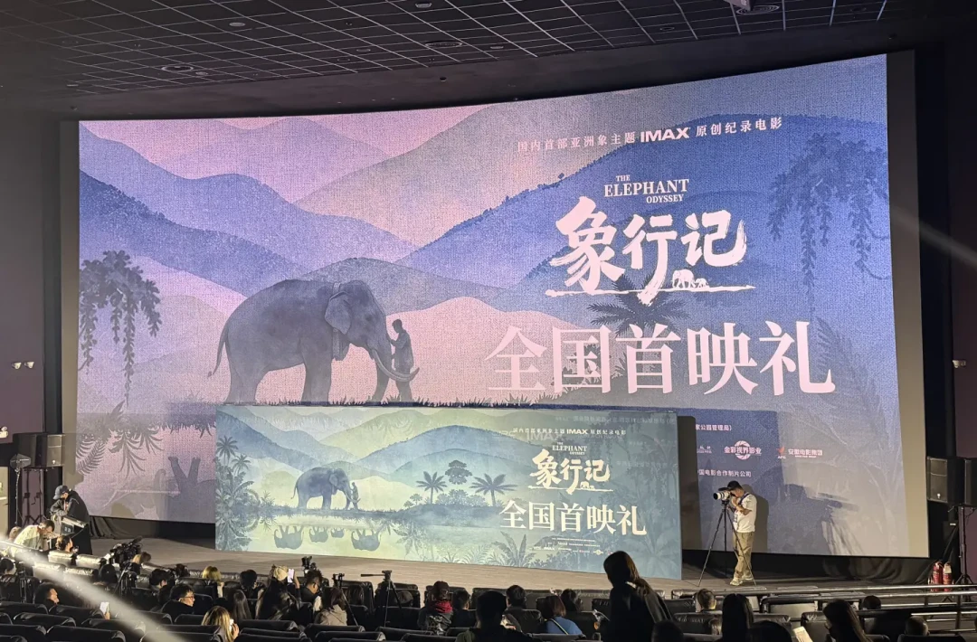 这周五，去IMAX看一群走了1300公里的大象