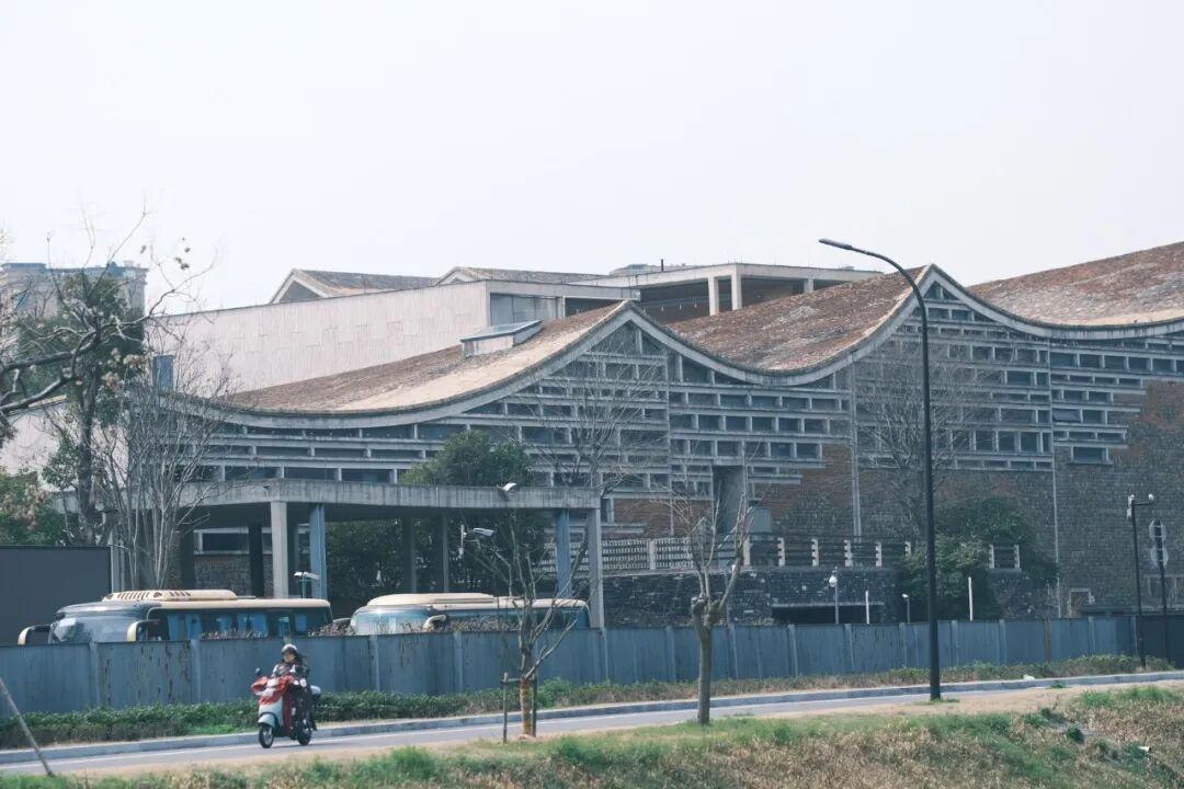 周迅釜山拿影后，舆论却分了两派：奖项成色、演技争议，和那部还没上映的《初次尝到寂寞》