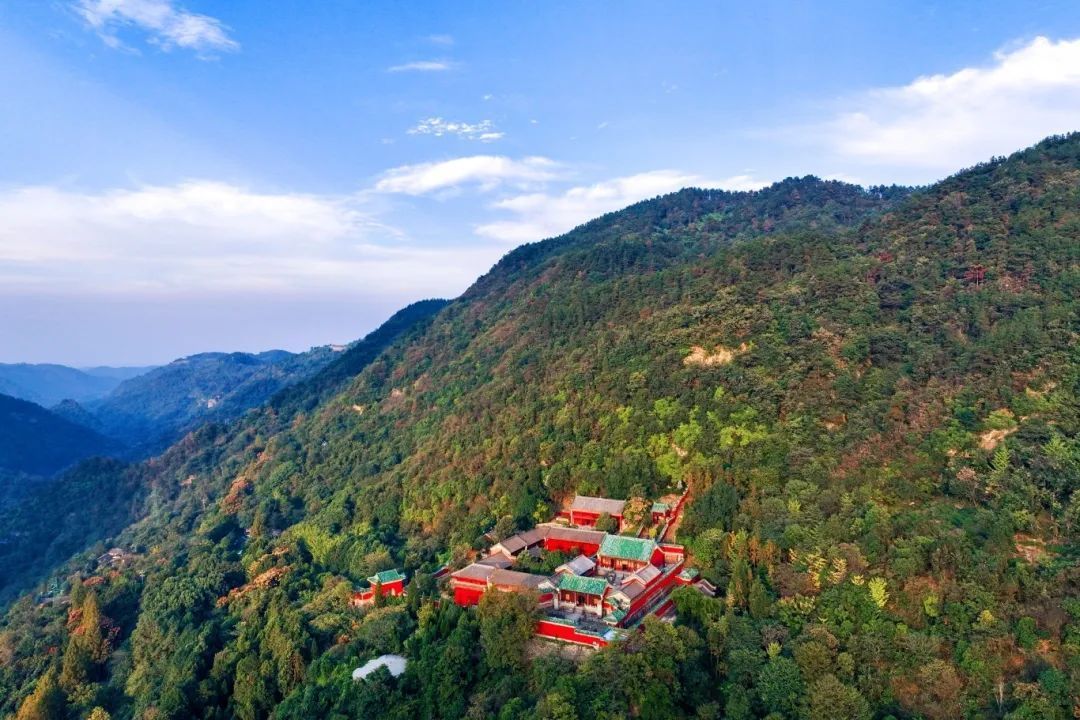 张伟丽在武当山推了几分钟手，才发现自己发力一直“太直”