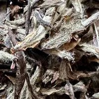 新茶到货先别急着全塞冰箱：绿茶爱0–5℃，红茶最怕冰箱，白茶普洱怕的是另一件事