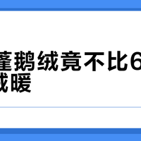800蓬鹅绒竟不比600蓬鸭绒暖？羽绒服的数字游戏全在吊牌角落