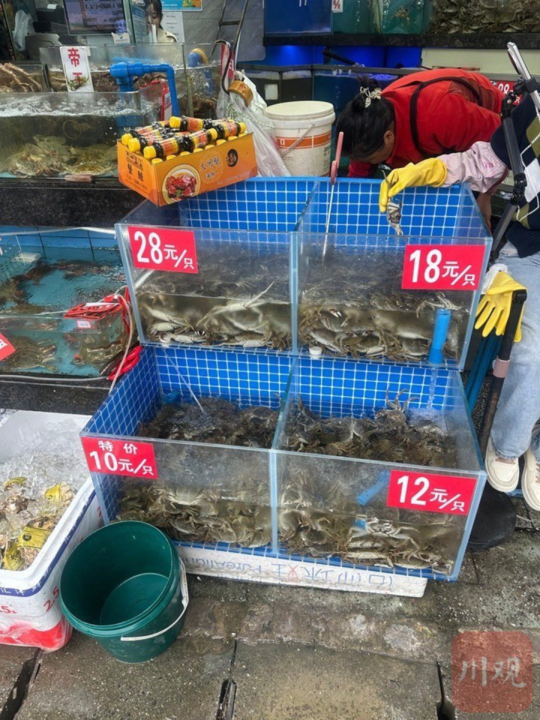 蟹丰收了,蟹卡却先“挤兑”了:3600条投诉,这笔账该算谁头上